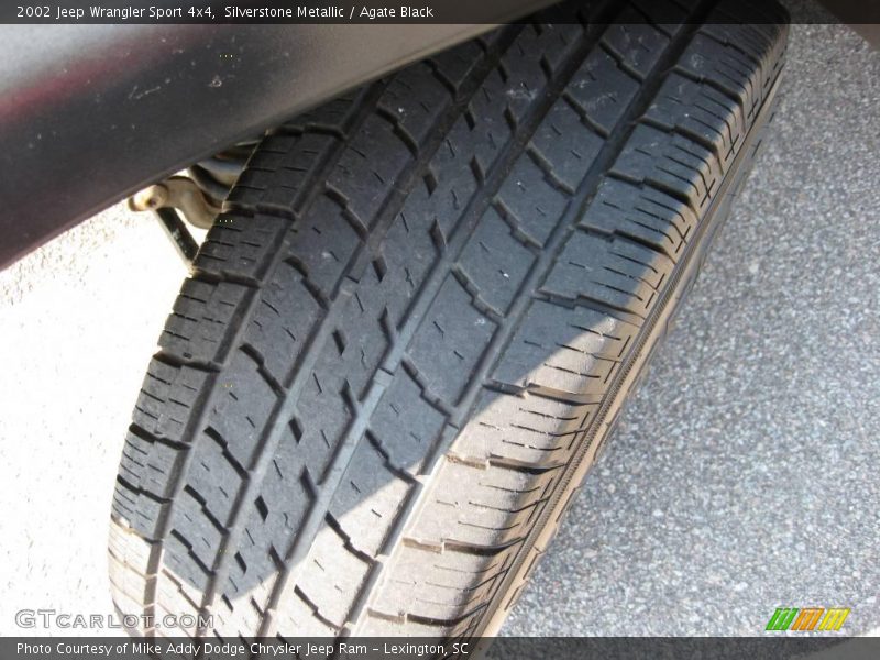 Silverstone Metallic / Agate Black 2002 Jeep Wrangler Sport 4x4