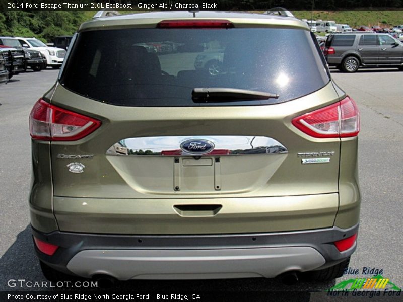 Ginger Ale / Charcoal Black 2014 Ford Escape Titanium 2.0L EcoBoost