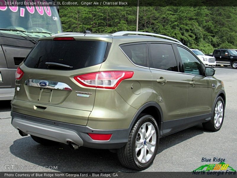 Ginger Ale / Charcoal Black 2014 Ford Escape Titanium 2.0L EcoBoost