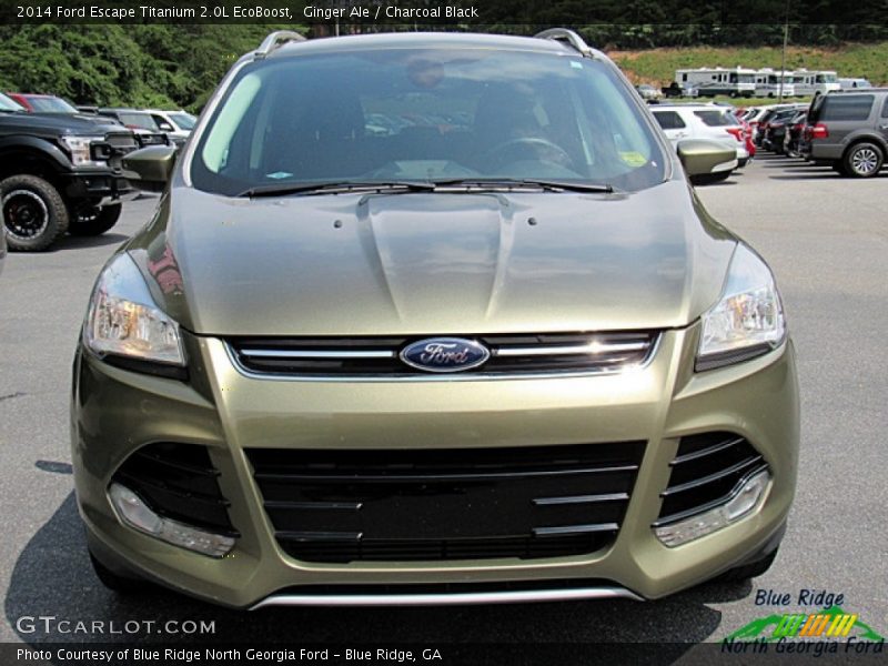 Ginger Ale / Charcoal Black 2014 Ford Escape Titanium 2.0L EcoBoost