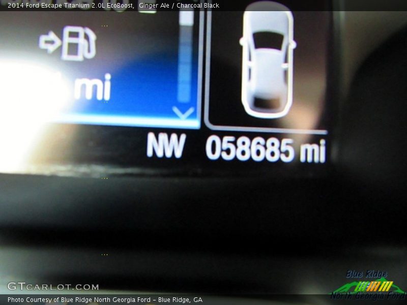 Ginger Ale / Charcoal Black 2014 Ford Escape Titanium 2.0L EcoBoost