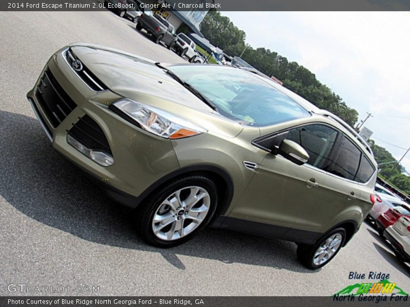 Ginger Ale / Charcoal Black 2014 Ford Escape Titanium 2.0L EcoBoost
