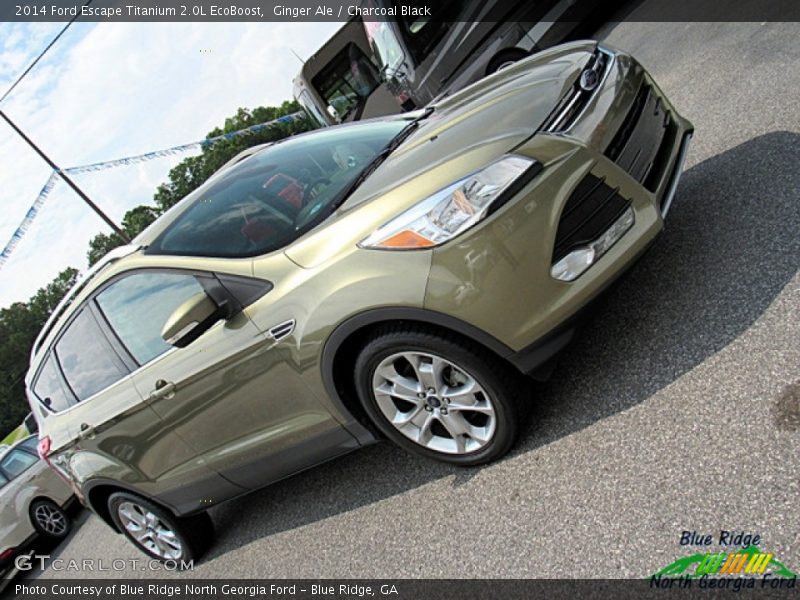 Ginger Ale / Charcoal Black 2014 Ford Escape Titanium 2.0L EcoBoost