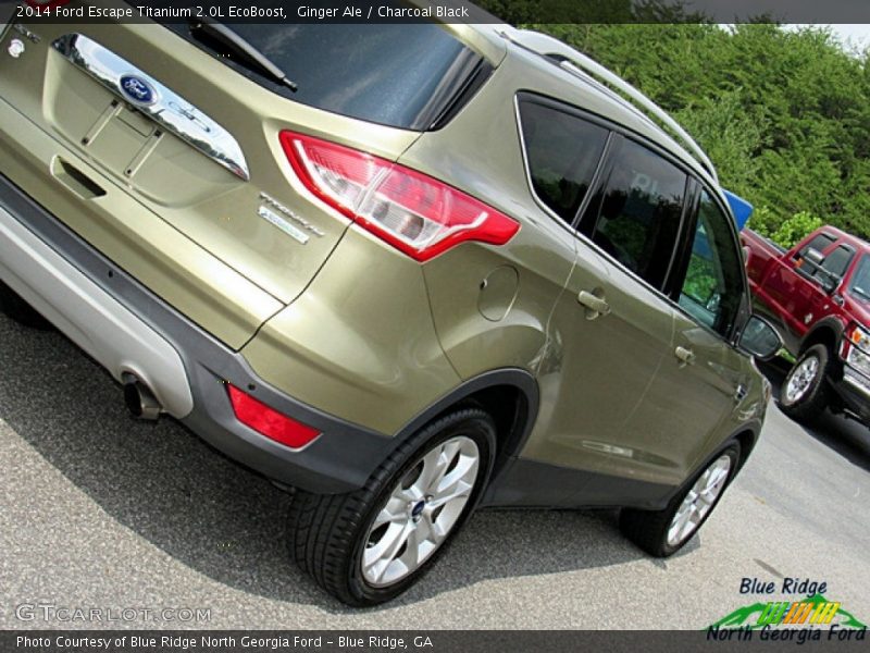 Ginger Ale / Charcoal Black 2014 Ford Escape Titanium 2.0L EcoBoost