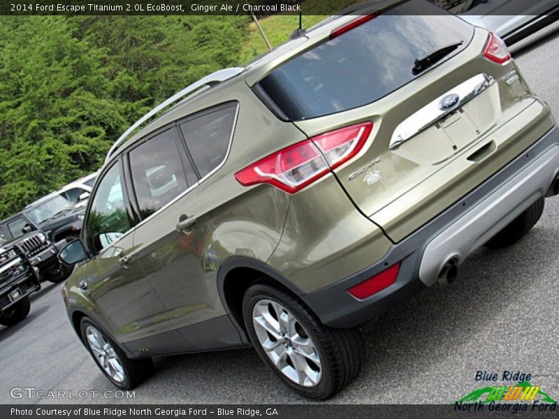 Ginger Ale / Charcoal Black 2014 Ford Escape Titanium 2.0L EcoBoost