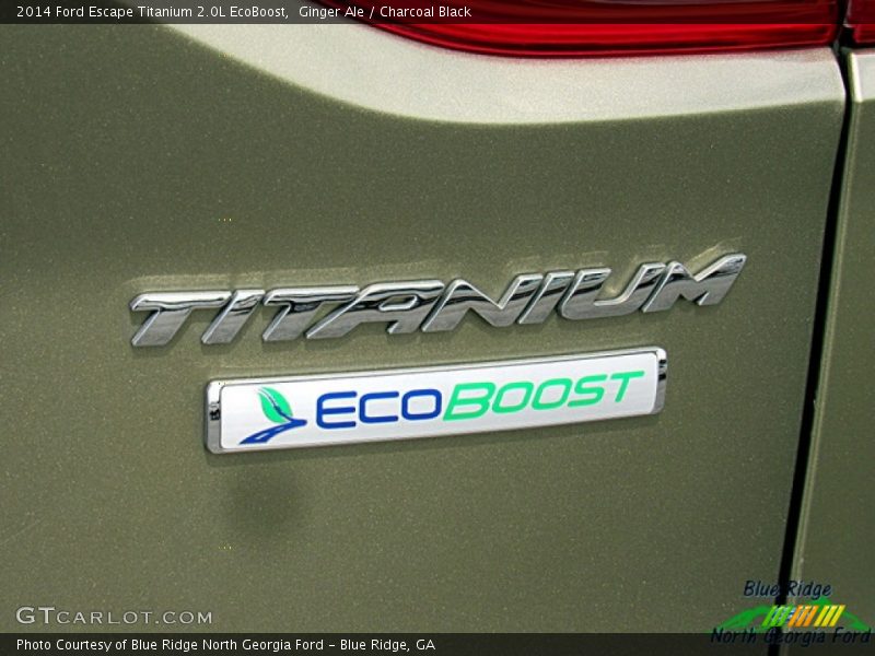 Ginger Ale / Charcoal Black 2014 Ford Escape Titanium 2.0L EcoBoost