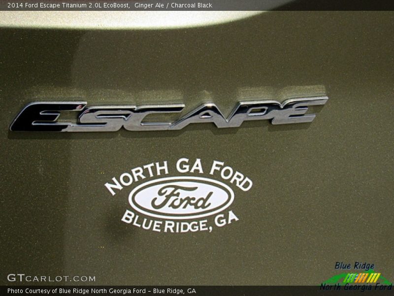 Ginger Ale / Charcoal Black 2014 Ford Escape Titanium 2.0L EcoBoost