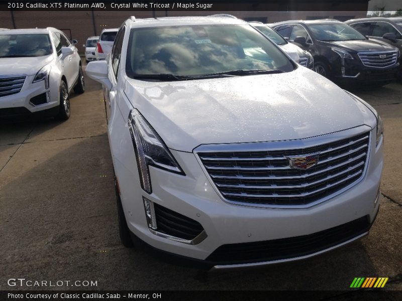 Crystal White Tricoat / Maple Sugar 2019 Cadillac XT5 Platinum AWD