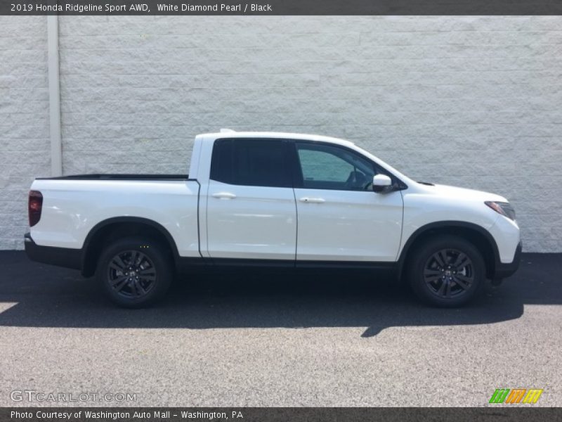 White Diamond Pearl / Black 2019 Honda Ridgeline Sport AWD