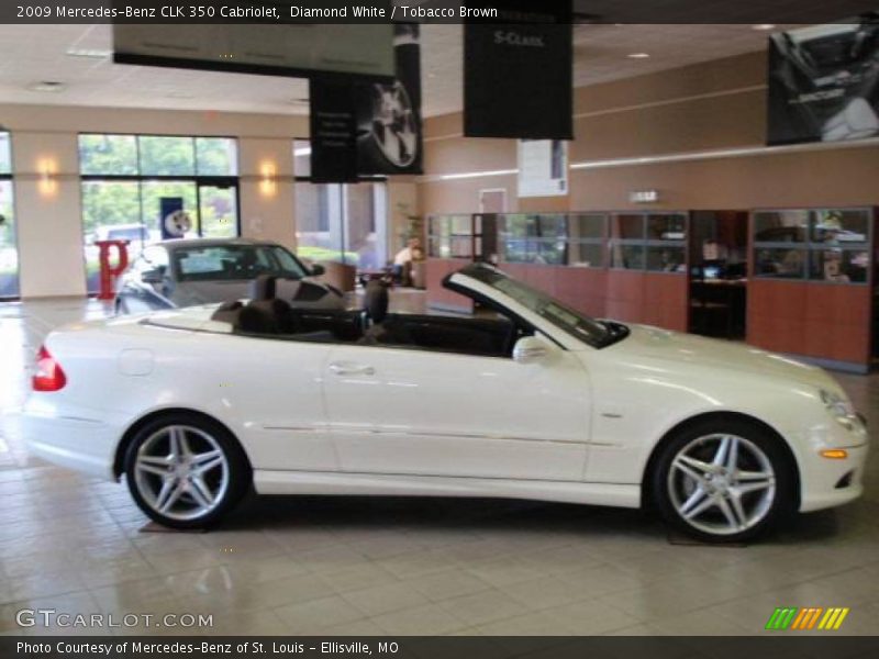 Diamond White / Tobacco Brown 2009 Mercedes-Benz CLK 350 Cabriolet