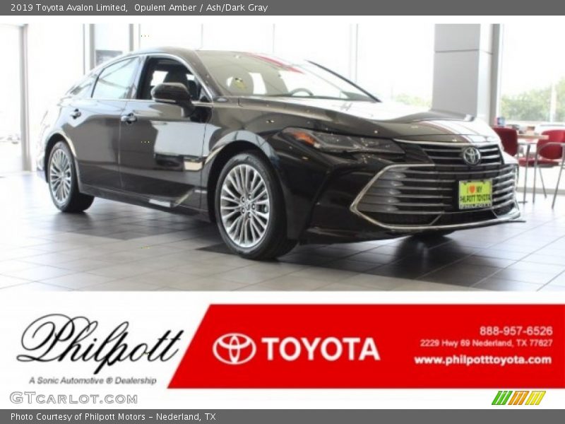 Opulent Amber / Ash/Dark Gray 2019 Toyota Avalon Limited