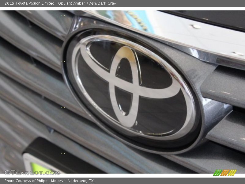 Opulent Amber / Ash/Dark Gray 2019 Toyota Avalon Limited