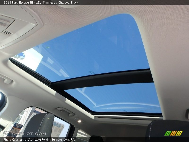 Magnetic / Charcoal Black 2018 Ford Escape SE 4WD