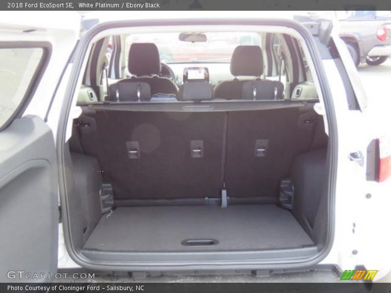 White Platinum / Ebony Black 2018 Ford EcoSport SE