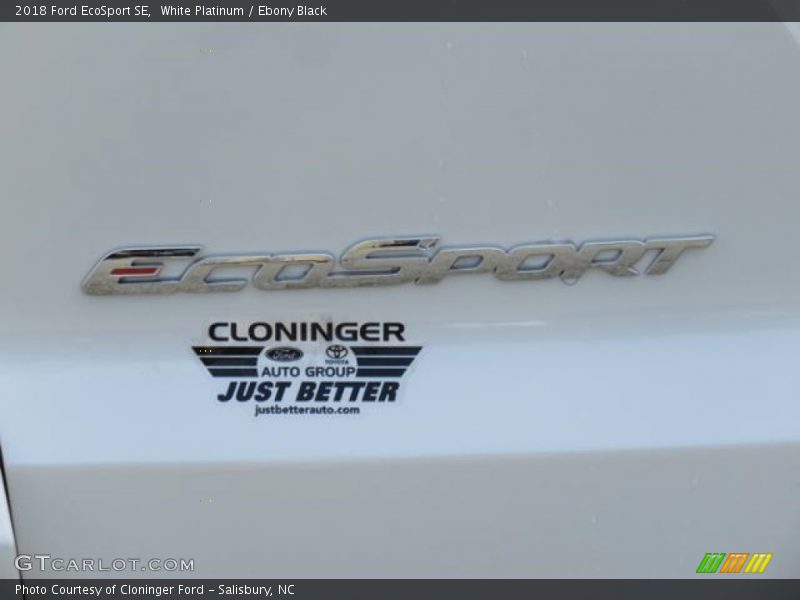 White Platinum / Ebony Black 2018 Ford EcoSport SE