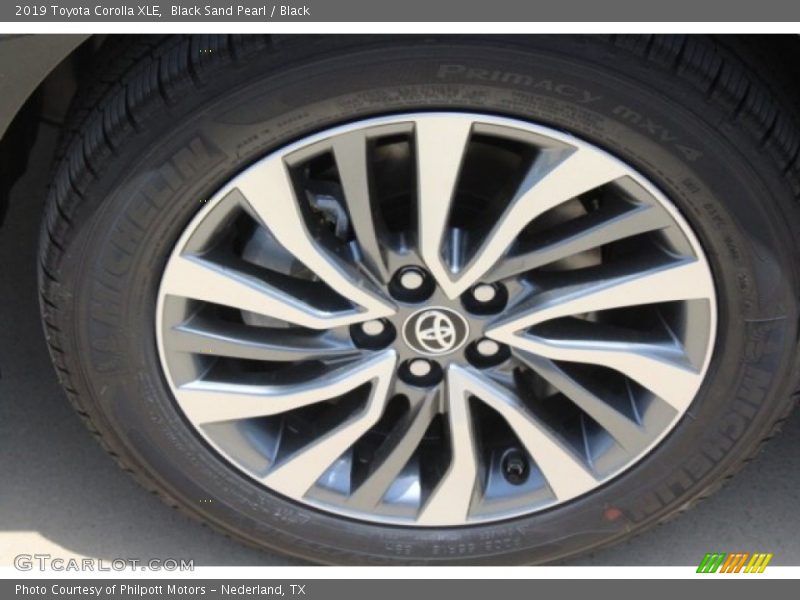 Black Sand Pearl / Black 2019 Toyota Corolla XLE