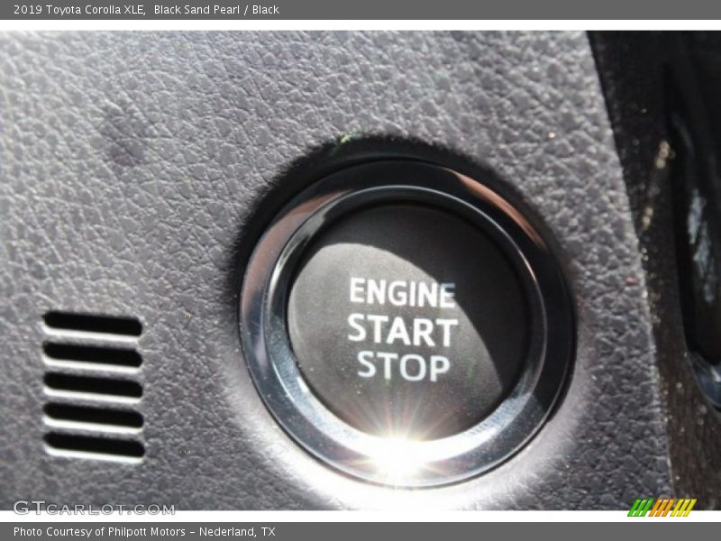 Black Sand Pearl / Black 2019 Toyota Corolla XLE