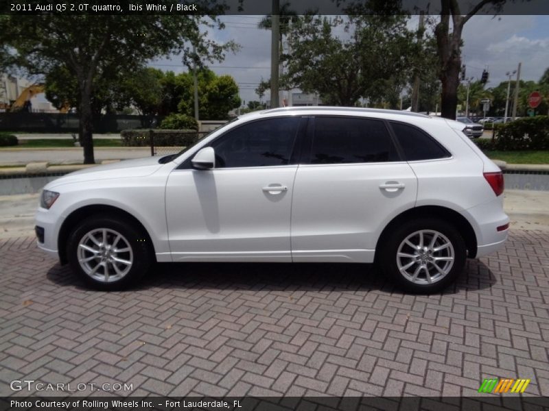 Ibis White / Black 2011 Audi Q5 2.0T quattro