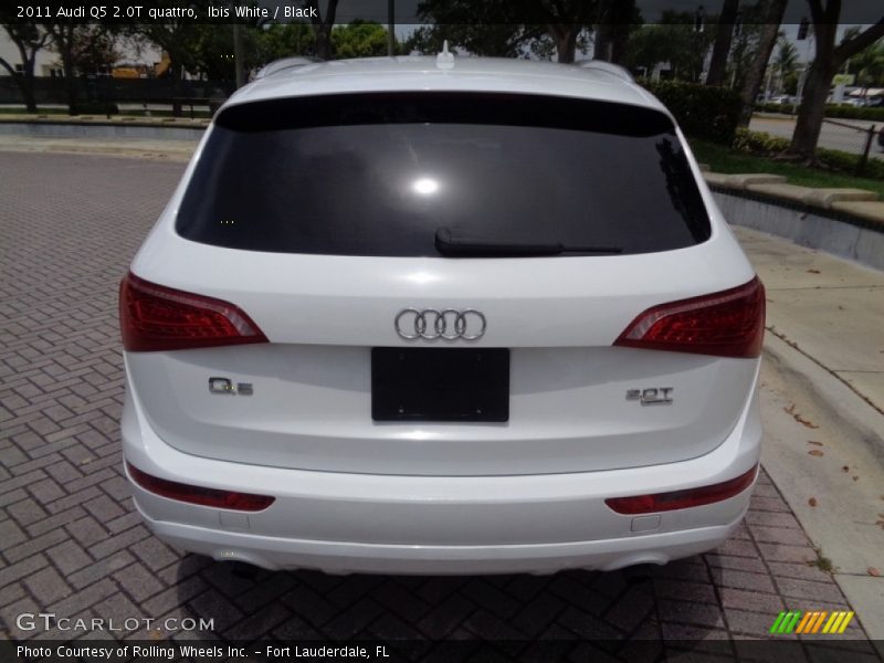 Ibis White / Black 2011 Audi Q5 2.0T quattro