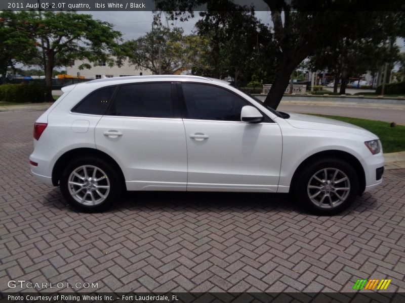 Ibis White / Black 2011 Audi Q5 2.0T quattro