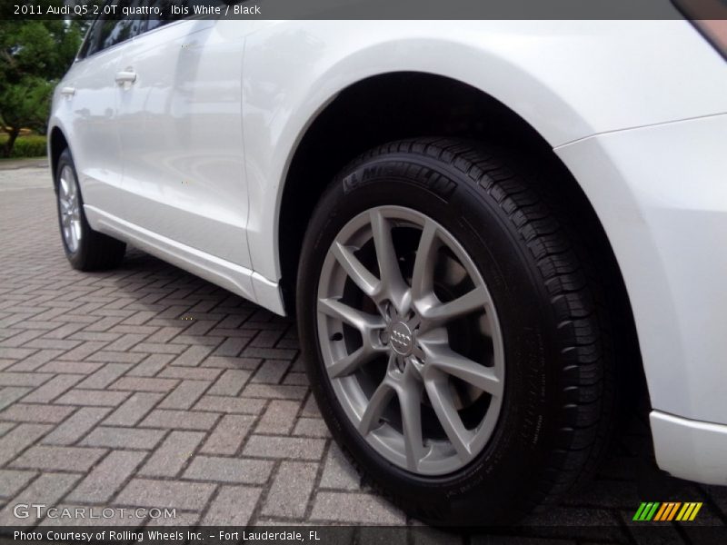 Ibis White / Black 2011 Audi Q5 2.0T quattro