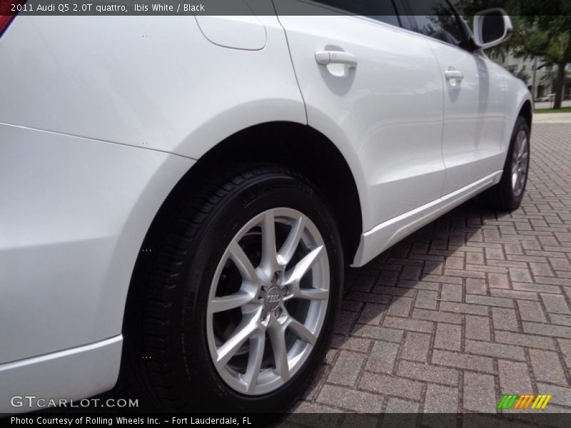 Ibis White / Black 2011 Audi Q5 2.0T quattro