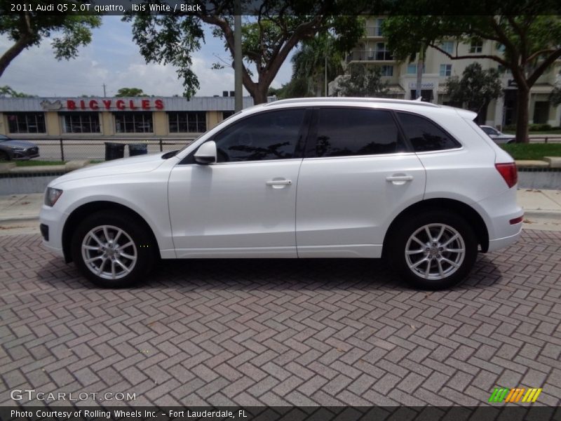 Ibis White / Black 2011 Audi Q5 2.0T quattro