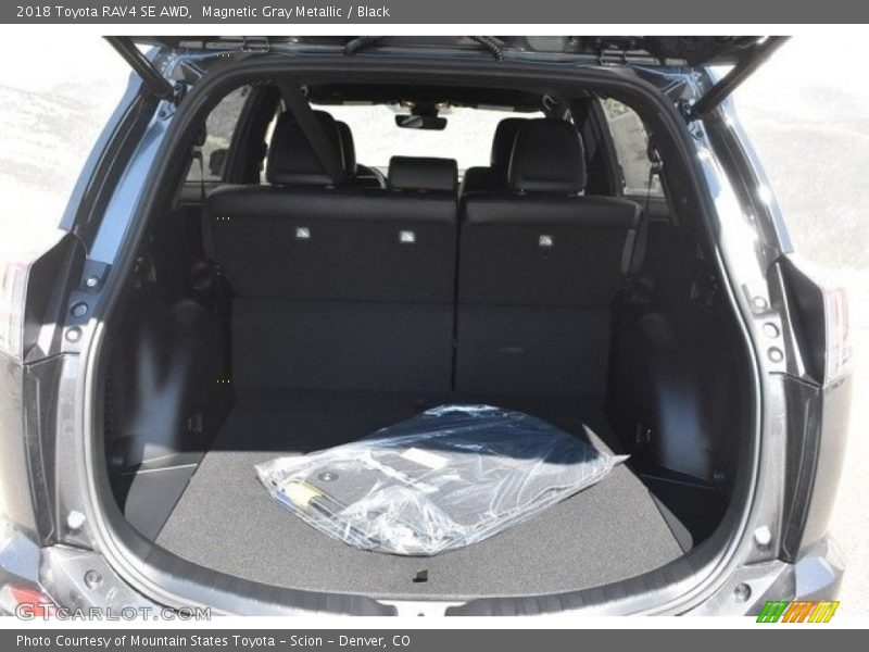 Magnetic Gray Metallic / Black 2018 Toyota RAV4 SE AWD