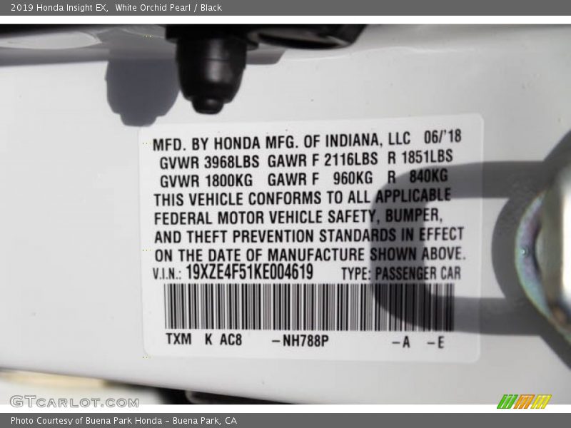 White Orchid Pearl / Black 2019 Honda Insight EX