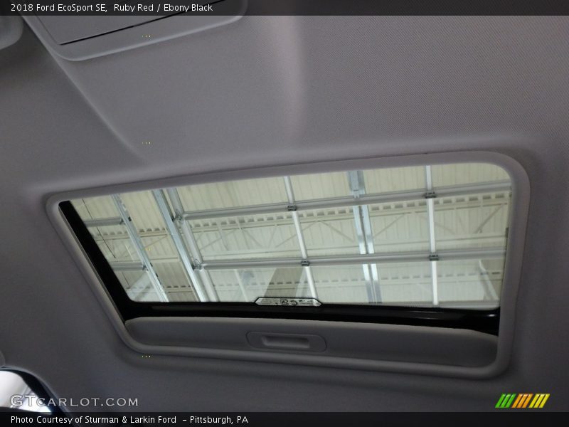 Ruby Red / Ebony Black 2018 Ford EcoSport SE
