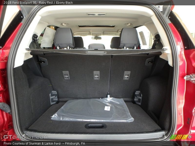 Ruby Red / Ebony Black 2018 Ford EcoSport SE