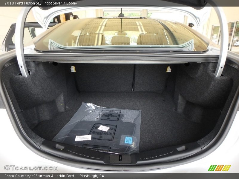 Ingot Silver / Ebony 2018 Ford Fusion SE