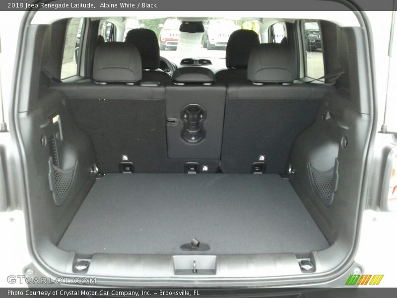 Alpine White / Black 2018 Jeep Renegade Latitude