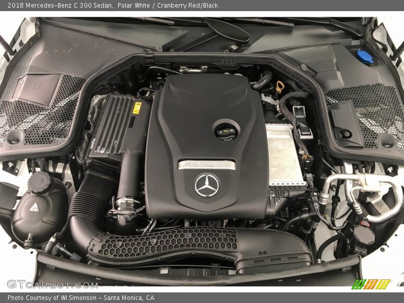 Polar White / Cranberry Red/Black 2018 Mercedes-Benz C 300 Sedan