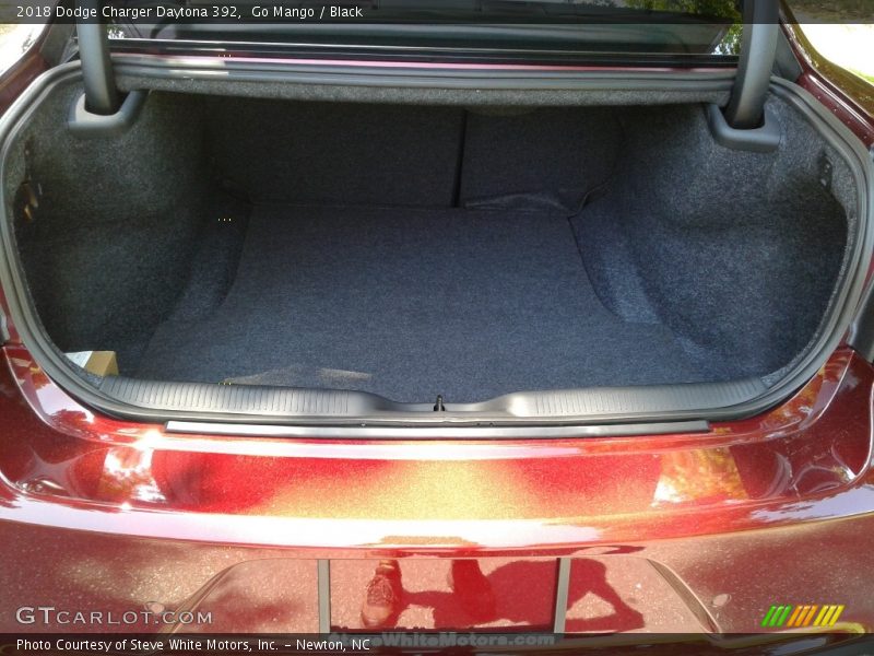 Go Mango / Black 2018 Dodge Charger Daytona 392