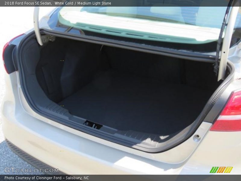 White Gold / Medium Light Stone 2018 Ford Focus SE Sedan