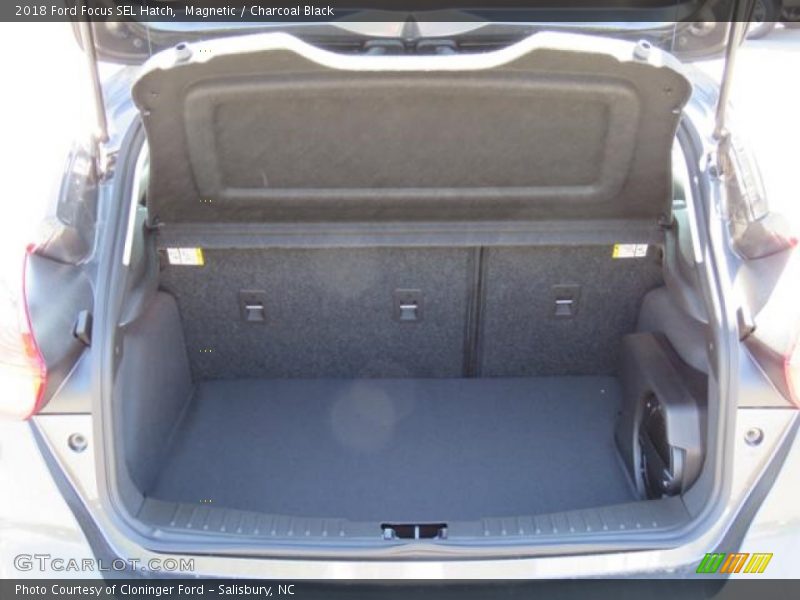 Magnetic / Charcoal Black 2018 Ford Focus SEL Hatch