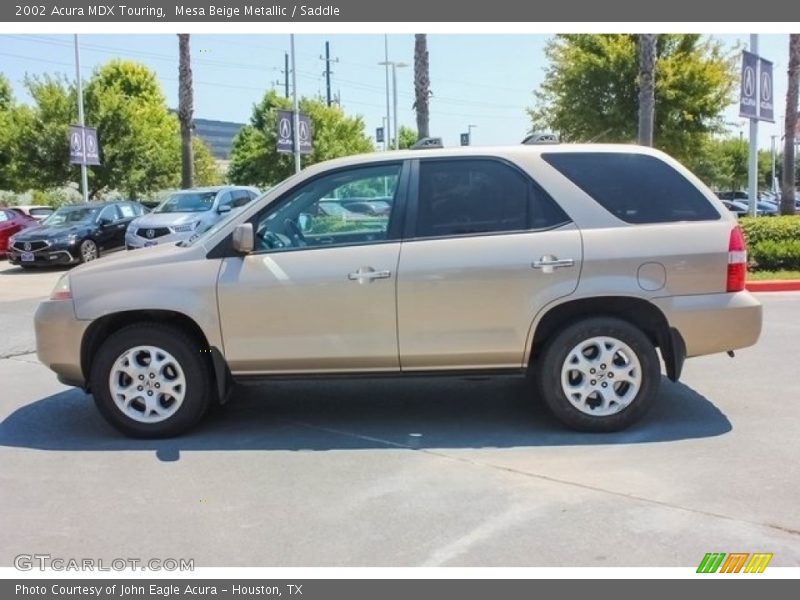 Mesa Beige Metallic / Saddle 2002 Acura MDX Touring