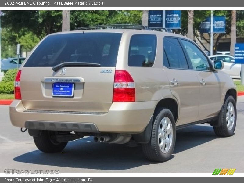 Mesa Beige Metallic / Saddle 2002 Acura MDX Touring