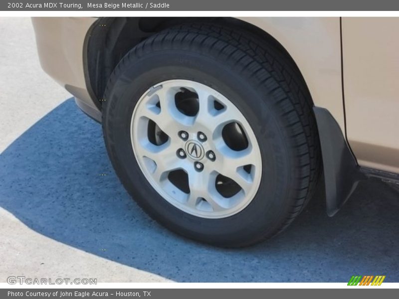 Mesa Beige Metallic / Saddle 2002 Acura MDX Touring