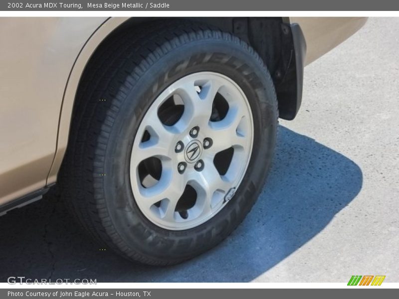 Mesa Beige Metallic / Saddle 2002 Acura MDX Touring