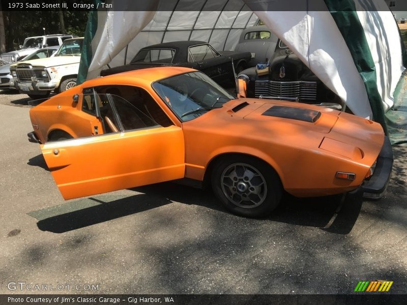  1973 Sonett III Orange