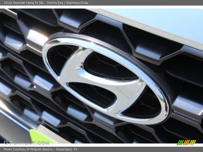 Stormy Sea / Espresso/Gray 2019 Hyundai Santa Fe SEL