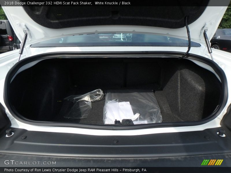 White Knuckle / Black 2018 Dodge Challenger 392 HEMI Scat Pack Shaker