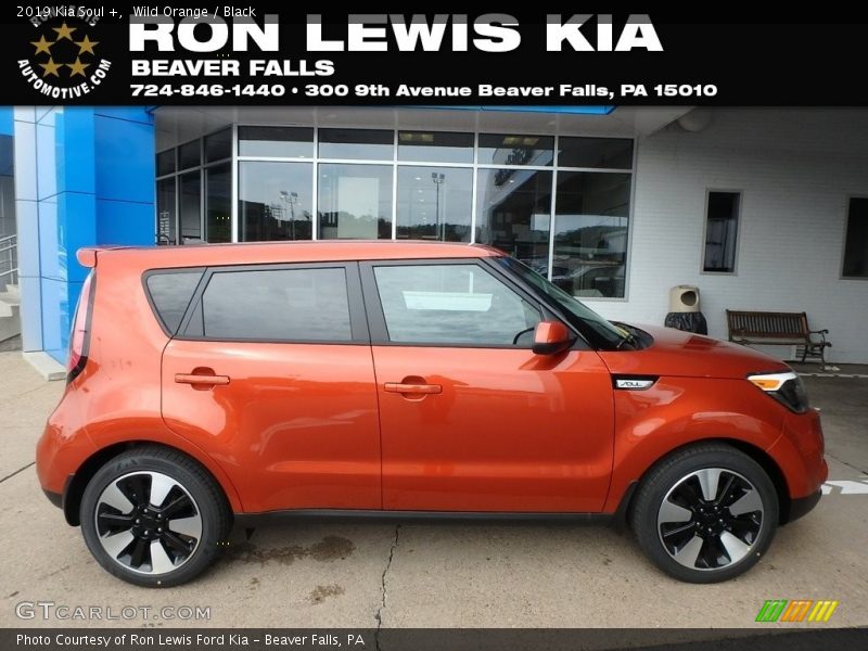 Wild Orange / Black 2019 Kia Soul +
