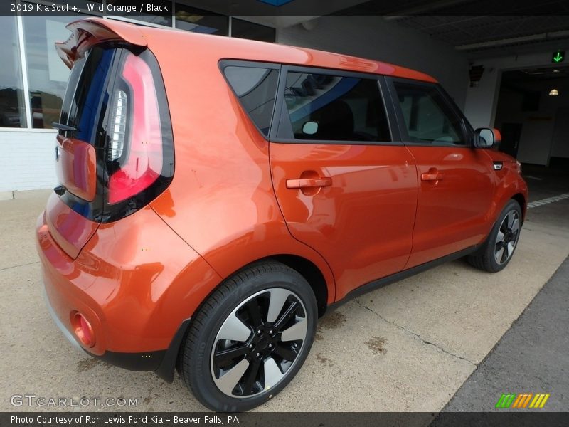 Wild Orange / Black 2019 Kia Soul +