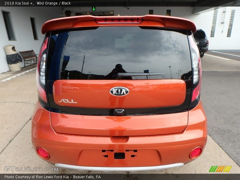 Wild Orange / Black 2019 Kia Soul +
