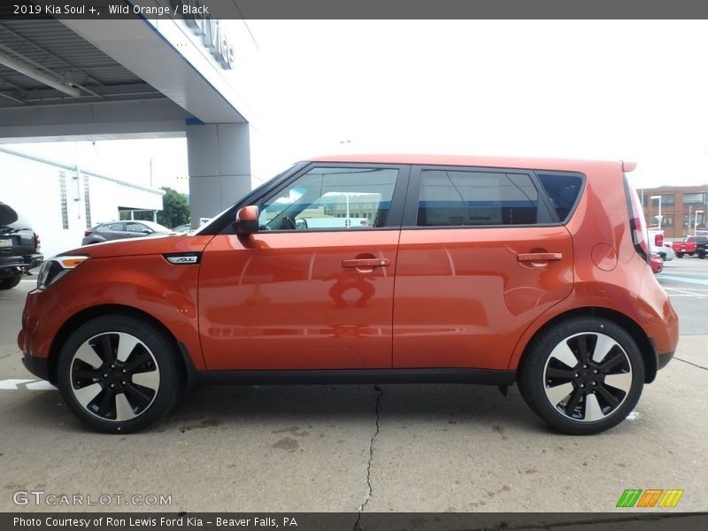 Wild Orange / Black 2019 Kia Soul +