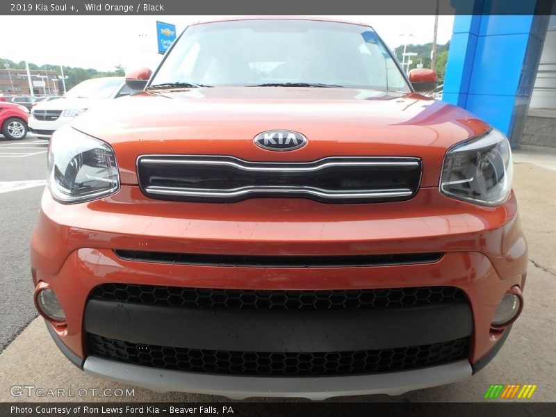 Wild Orange / Black 2019 Kia Soul +