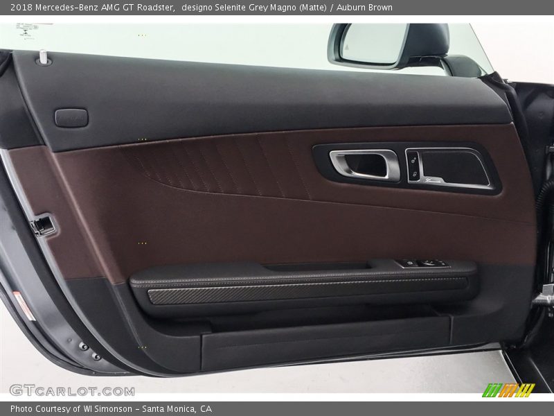 Door Panel of 2018 AMG GT Roadster